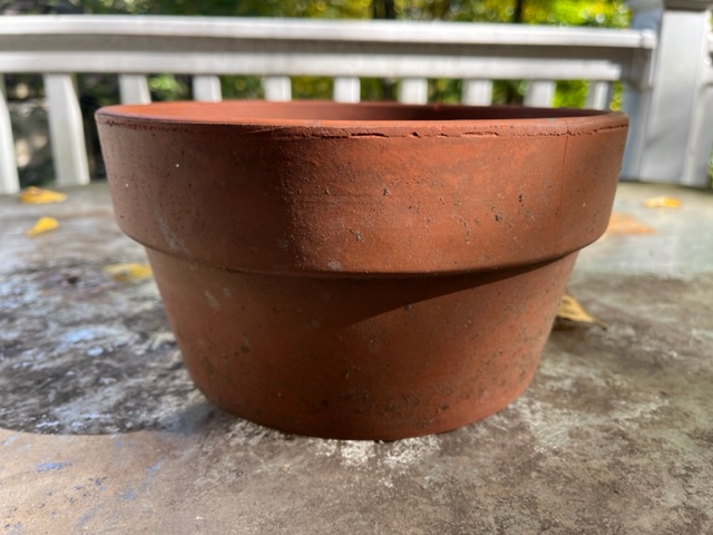 An example of a clay pot suitable for a Christmas cactus